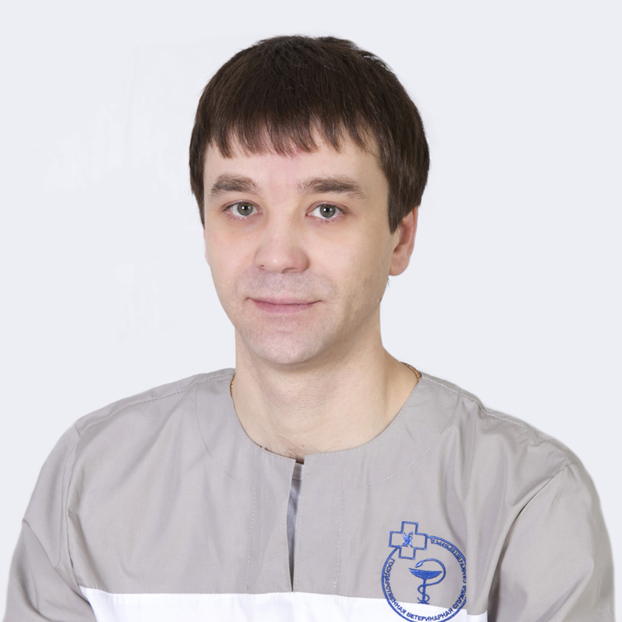 Нестрогаев Олег Александрович