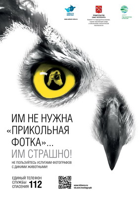 Poster_animal_protection_400.jpg