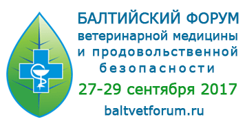 baltforum_2017-1.png