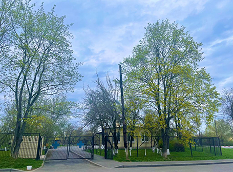 Ветеринарная станция — фото 5