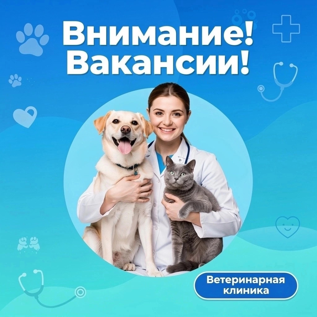 вакансии.jpg